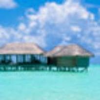 4 door-to door transfers